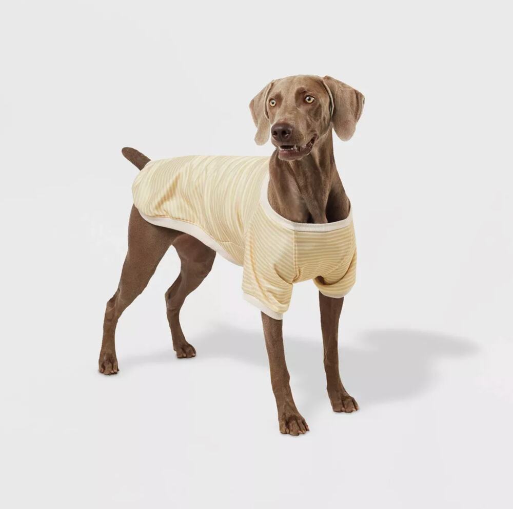 Boots & Barkley Beige Striped Pet Sweatshirt NEW